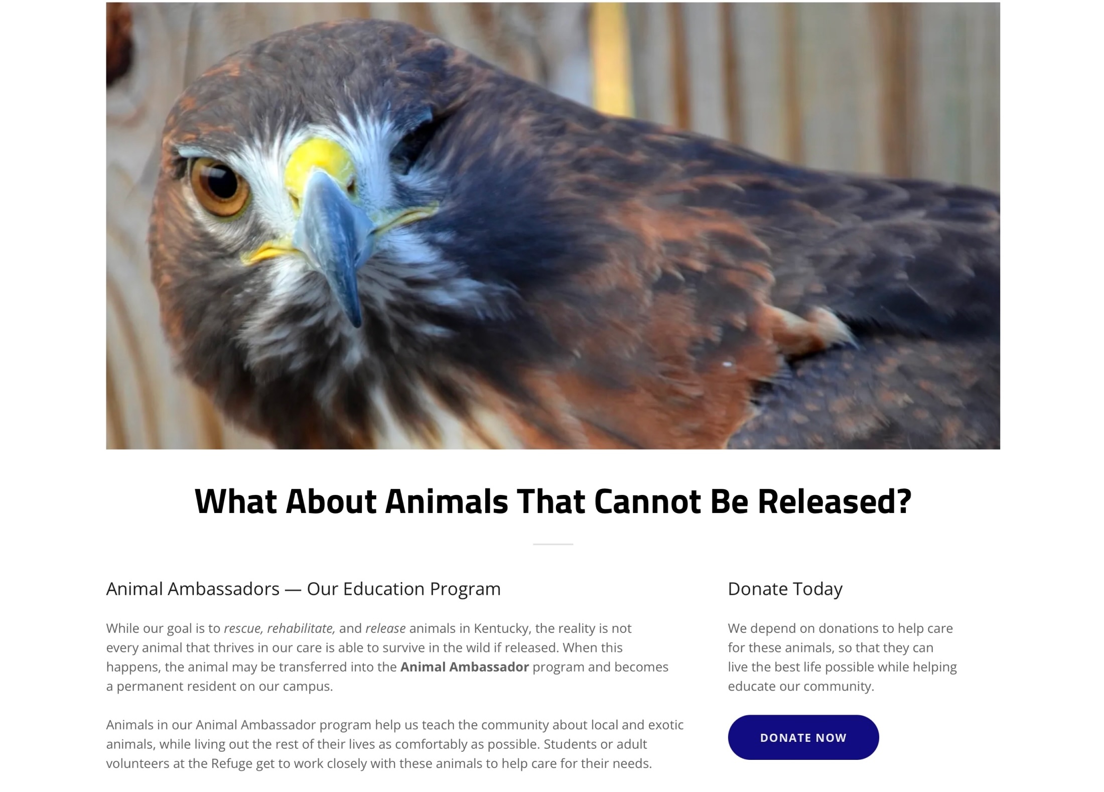 LCWR rescue information