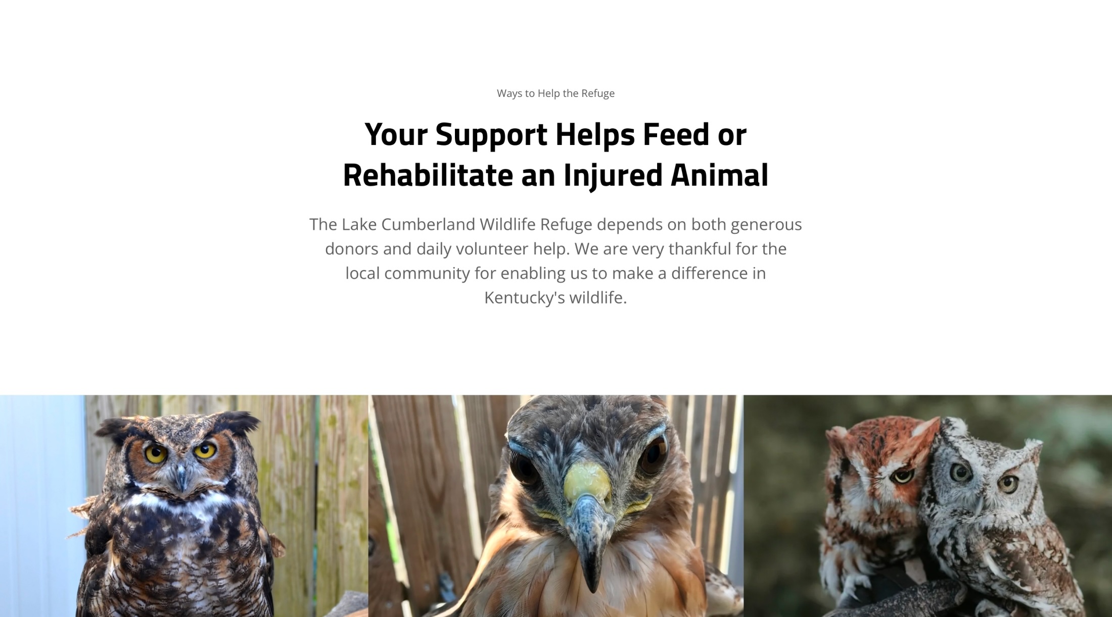LCWR support page